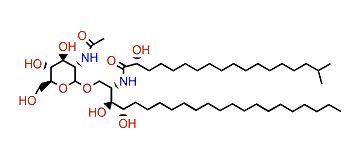 Halicylindroside B6